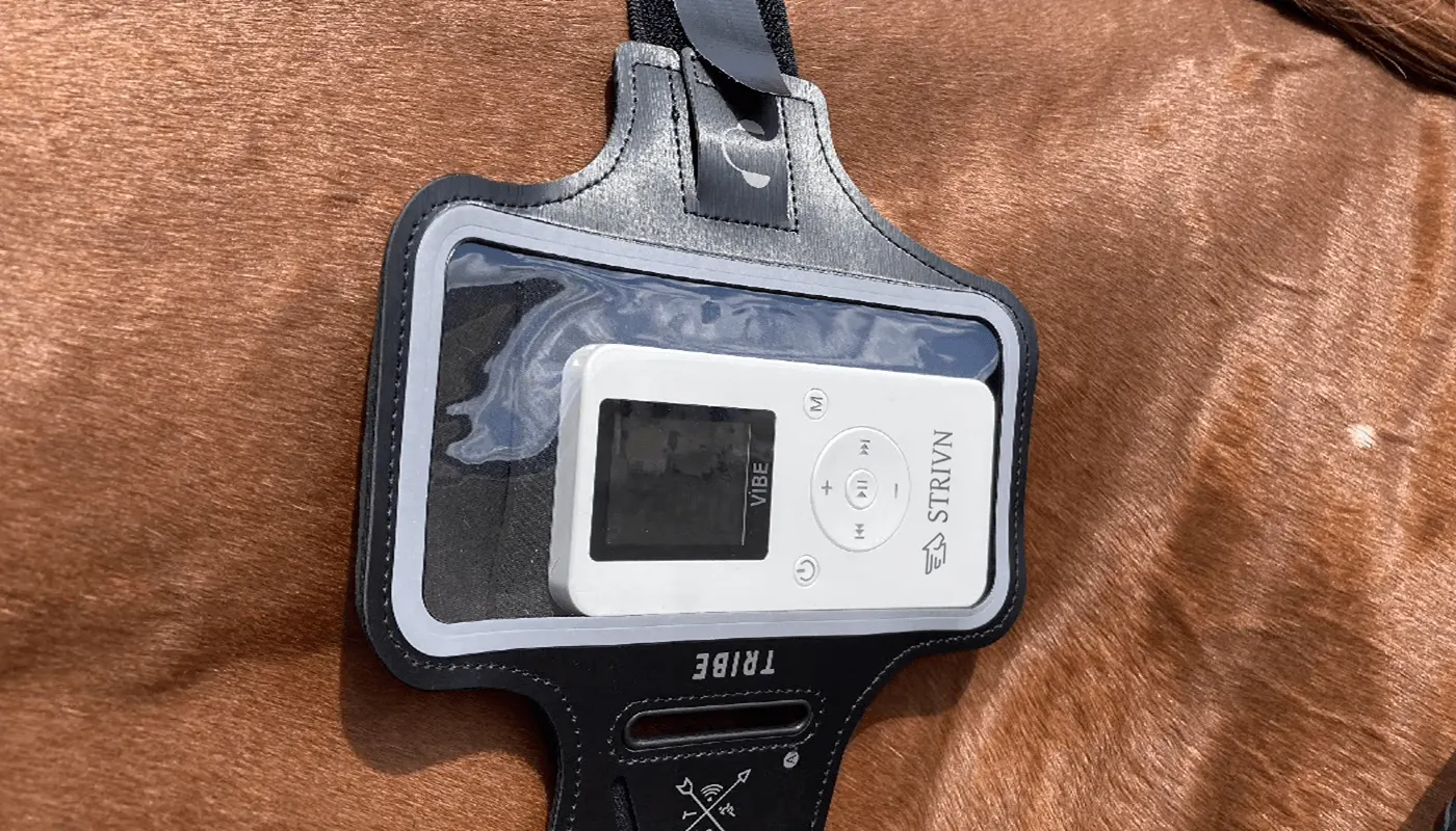 STRIVN equine health tech branding by Jakaria Mahmud, board 19