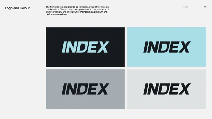 INDEX brand guidelines page: the logo on black, ice blue, grey and light backgrounds