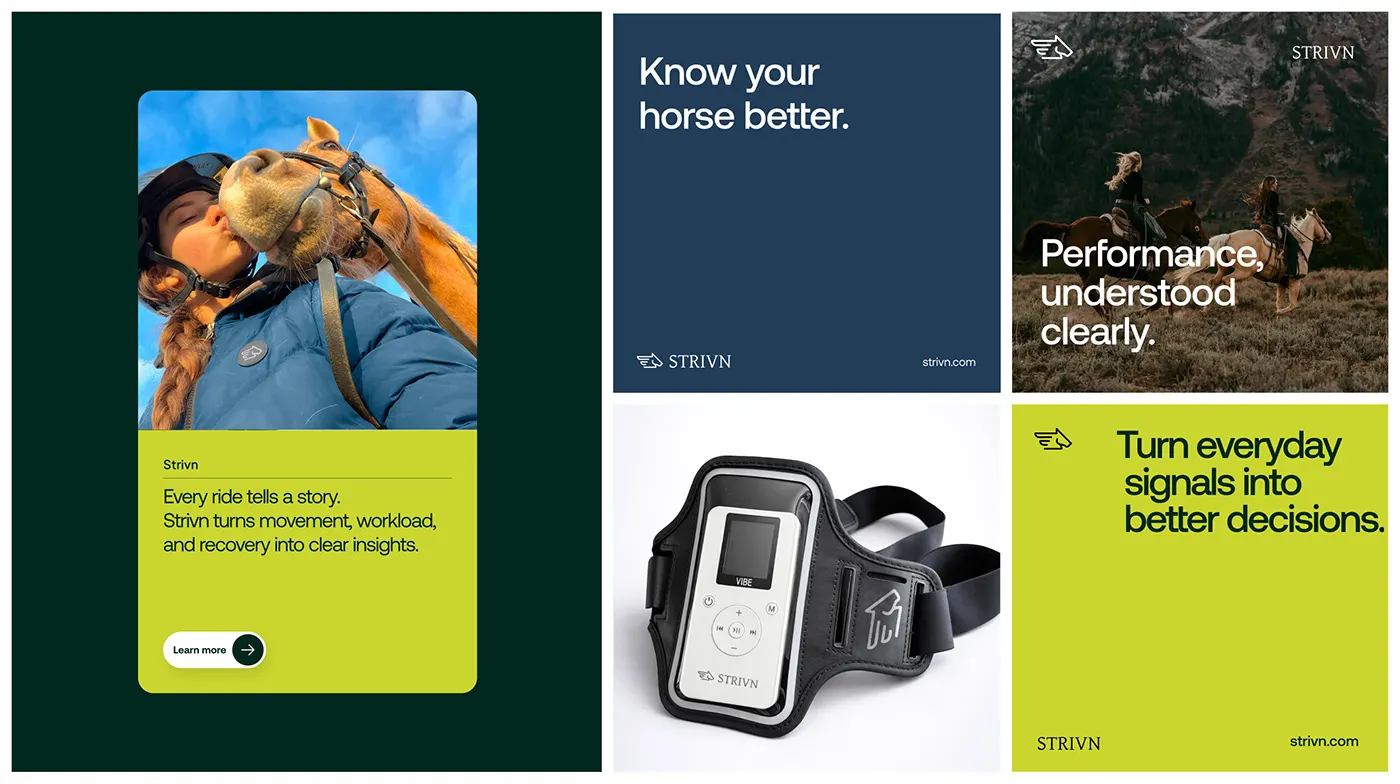 STRIVN equine health tech branding by Jakaria Mahmud, board 22