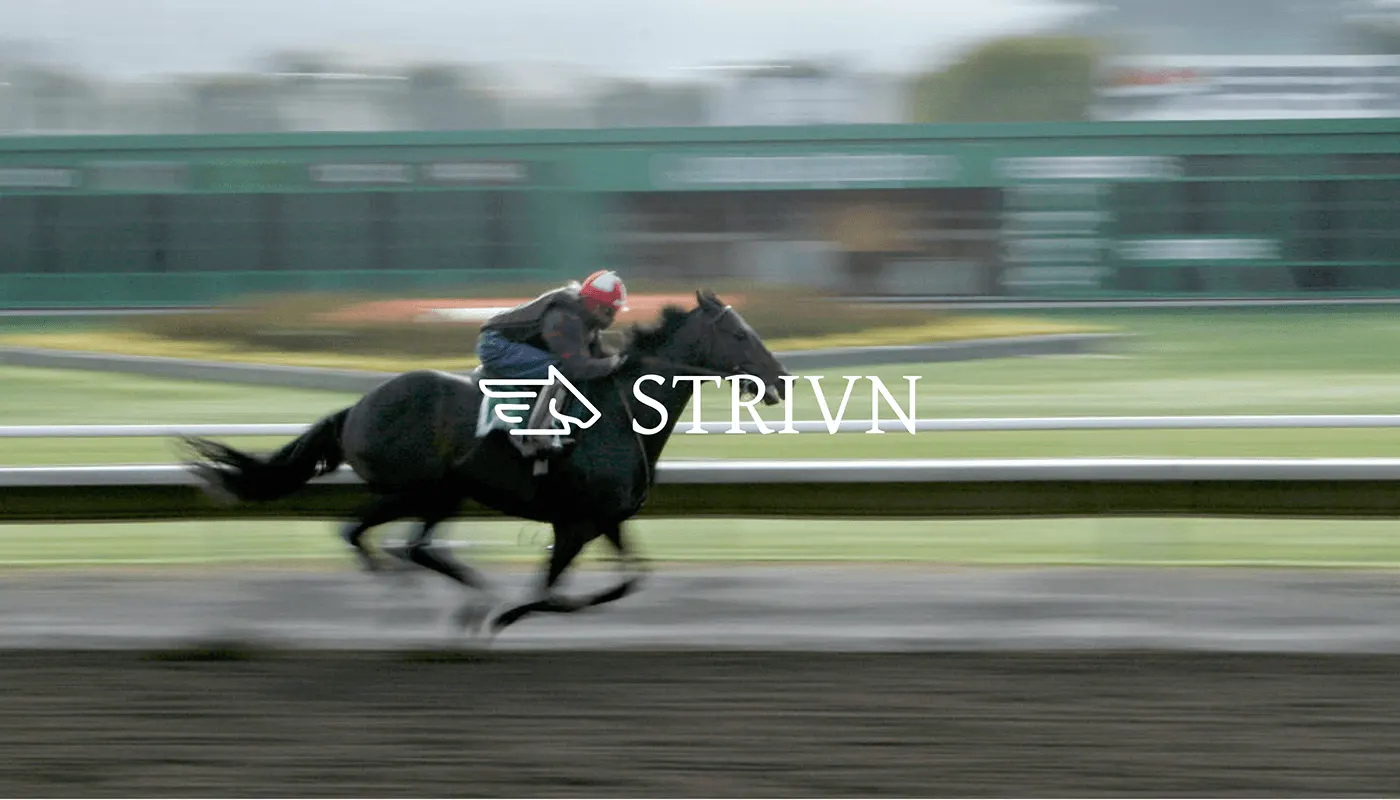 STRIVN equine health tech branding by Jakaria Mahmud, board 12