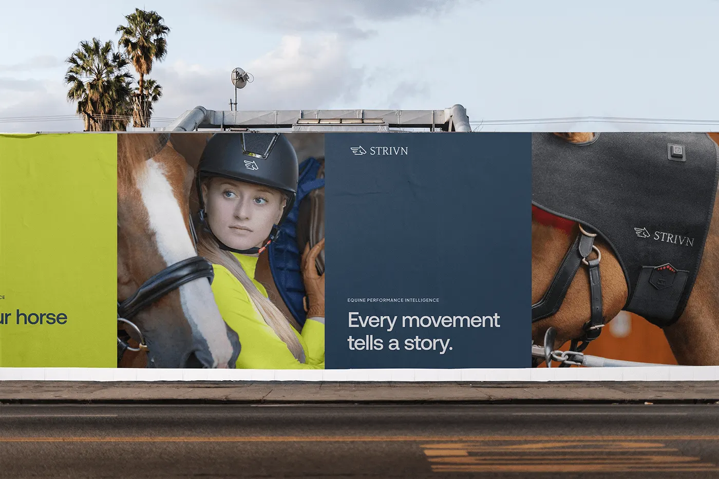 STRIVN equine health tech branding by Jakaria Mahmud, board 23