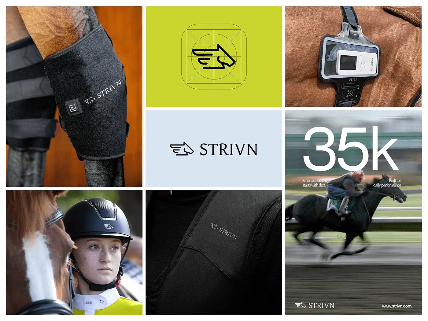 STRIVN equine health tech branding by Jakaria Mahmud, board 3