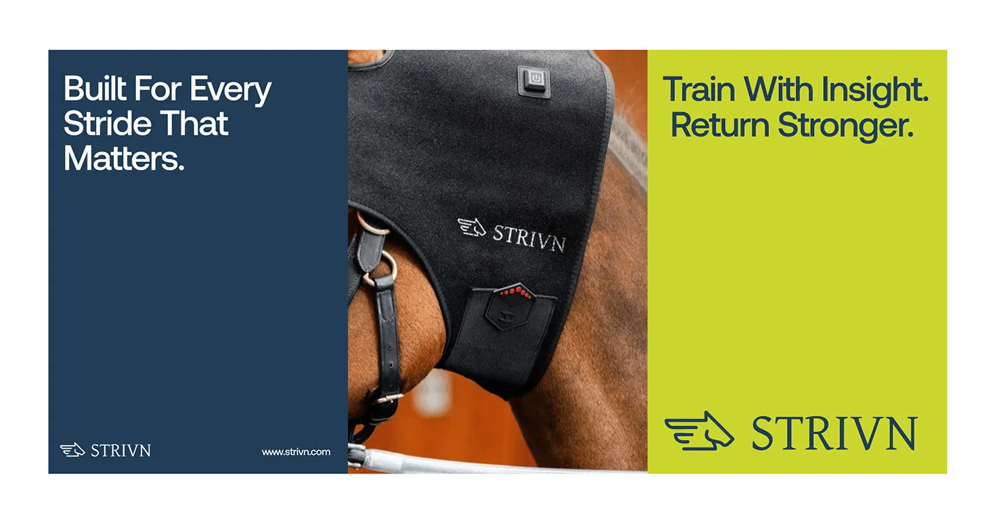 STRIVN equine health tech branding by Jakaria Mahmud, board 17